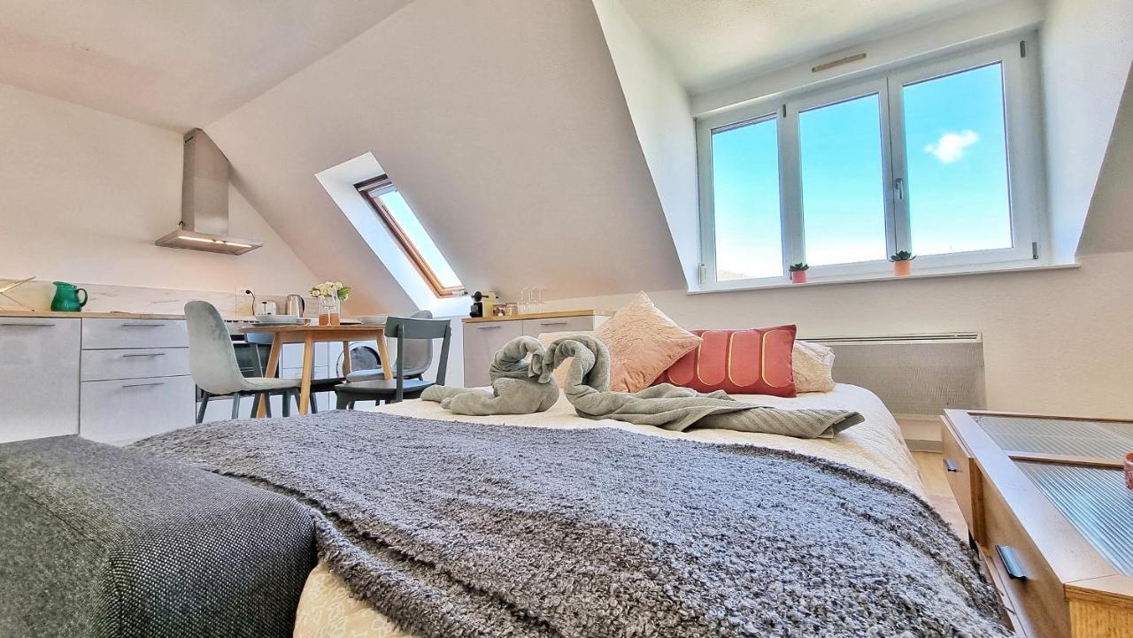Colmar Mon Amour-Chic-Garage-Fibre-Rbnb ภายนอก รูปภาพ
